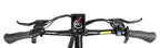 E-Bike Trekkingbike EBE2