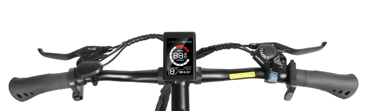 E-Bike Trekkingbike EBE2