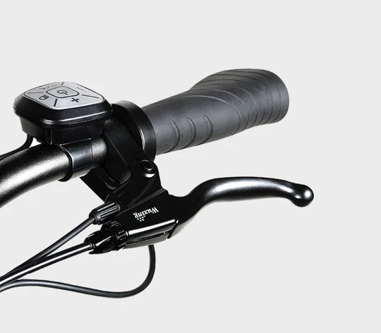 E-Bike Citybike RS-A01 Pro