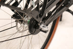 E-Bike Citybike Amsterdam F