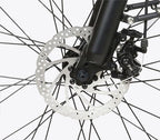 E-Bike Citybike RS-A01 Plus