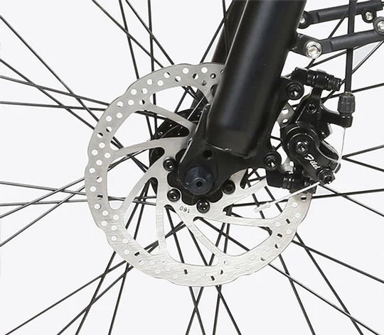 E-Bike Citybike RS-A01 Plus