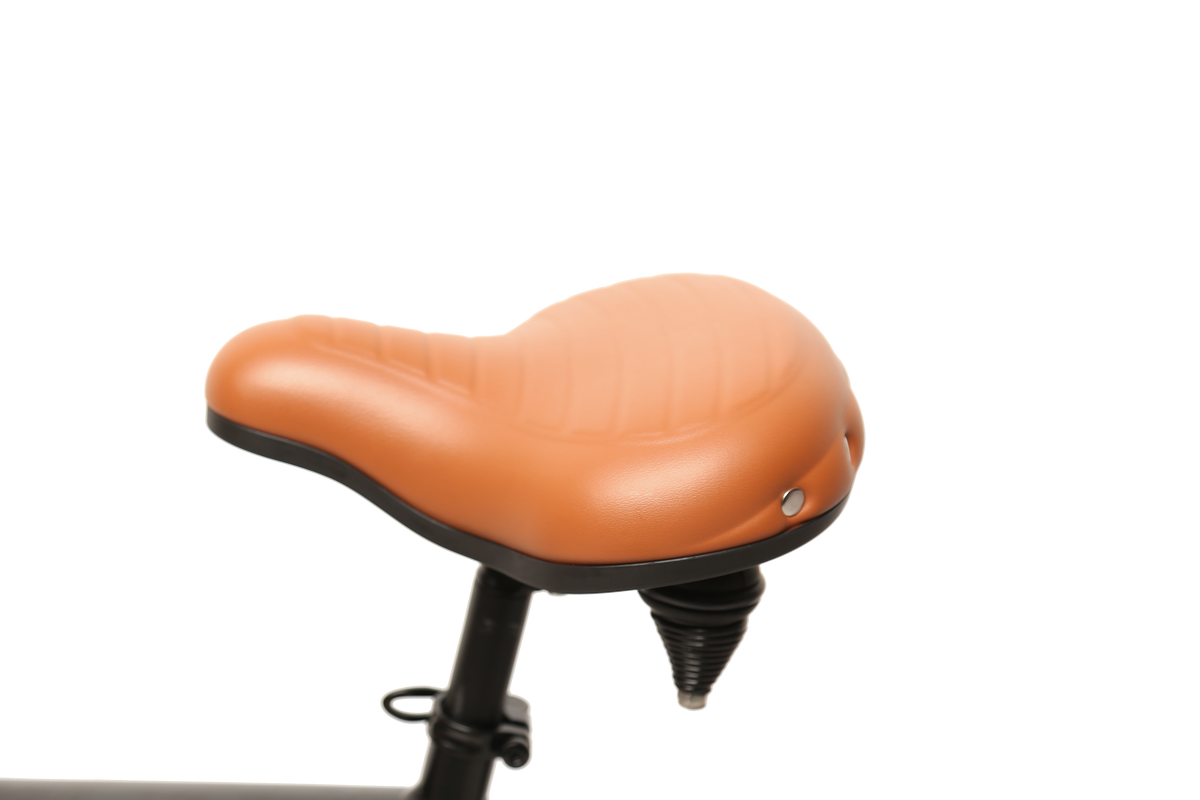 E-Bike Citybike Amsterdam F