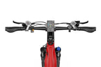 E-Bike Mountainbike E29