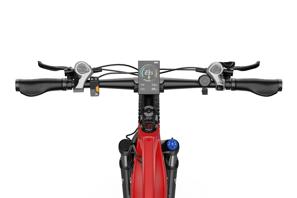 E-Bike Mountainbike E29