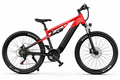 E-Bike Mountainbike E29