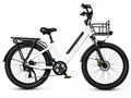 E-Bike Citybike RS-A01 Plus
