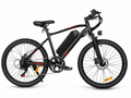 E-Bike Trekkingbike EBE2
