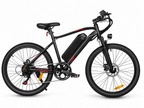 E-Bike Trekkingbike EBE2