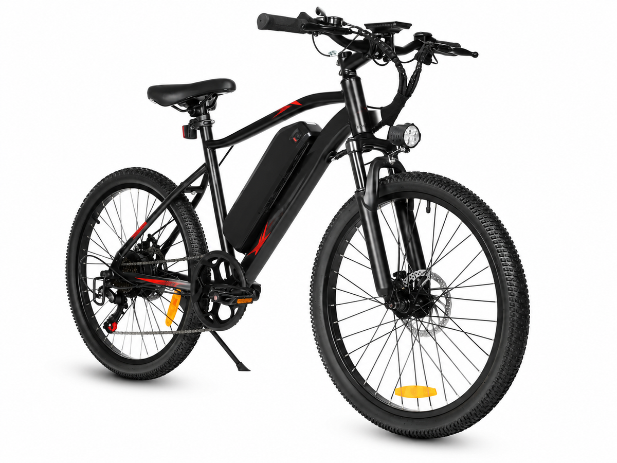 E-Bike Trekkingbike EBE2