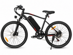 E-Bike Trekkingbike EBE2