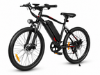 E-Bike Trekkingbike EBE2