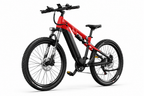 E-Bike Mountainbike E29