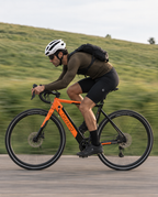 E-Bike Sportbike S20