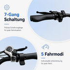 E-Bike Citybike CS20