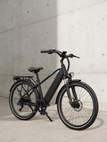 E-Bike Citybike C29Lite