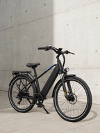 E-Bike Citybike C29Lite