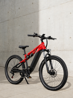 E-Bike Mountainbike E29