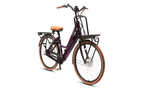 E-Bike Citybike Amsterdam F