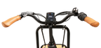 E-Bike Citybike Amsterdam F