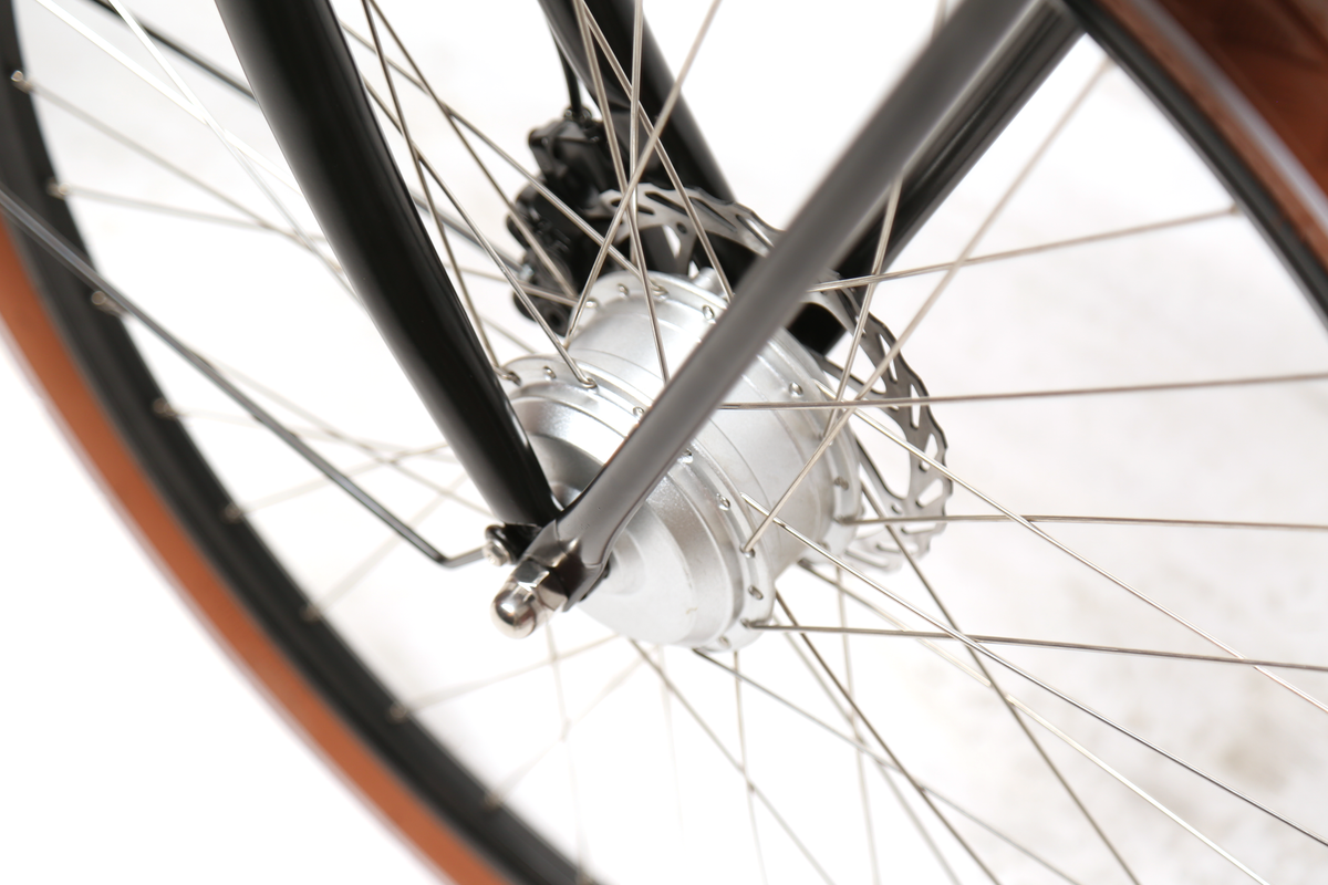 E-Bike Citybike Amsterdam F