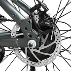 E-Bike Citybike RS-A01 Men