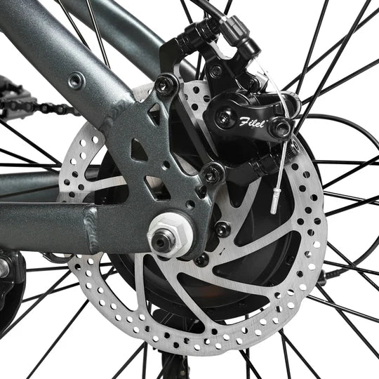 E-Bike Citybike RS-A01 Men