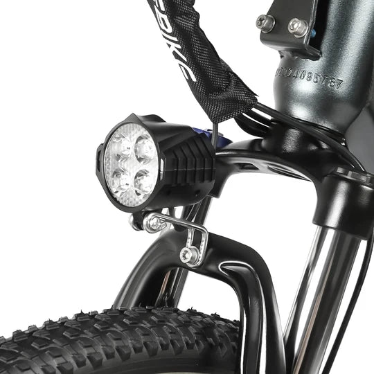 E-Bike Citybike RS-A01 Men