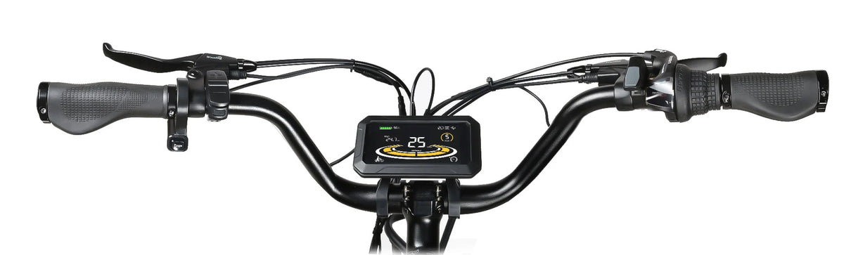 E-Bike Citybike RS-A01 Plus