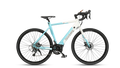 E-Bike Sportbike M20