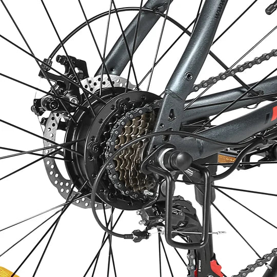 E-Bike Citybike RS-A01 Men